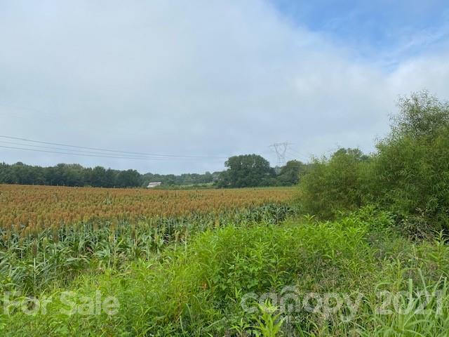 610 Bruce Thomas Rd., Monroe, NC 28112