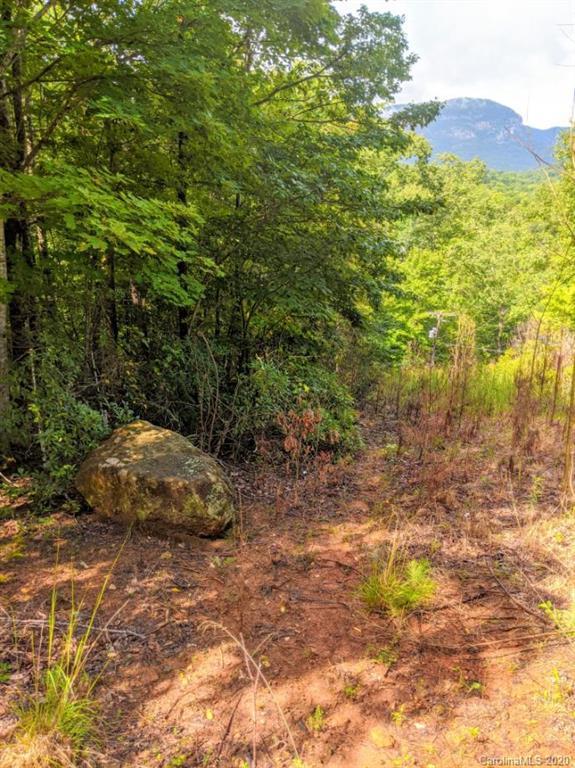 Fisher Ct., Lake Lure, NC 28746