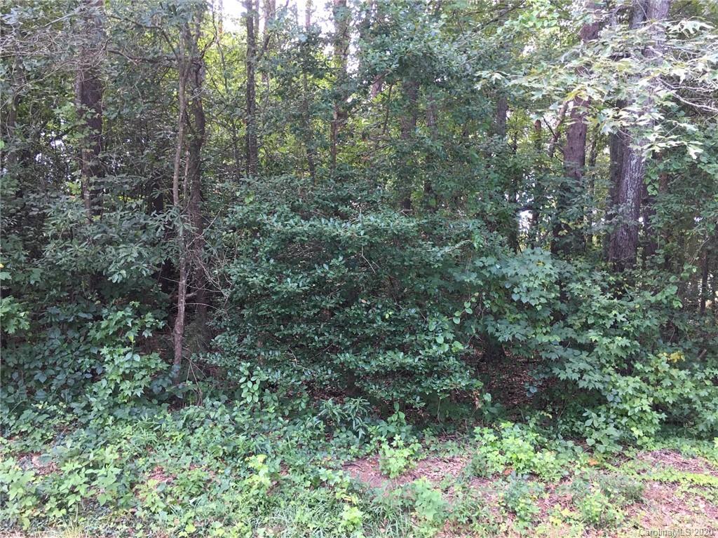 00 Herndon Chapel Church Ln. #4, Lincolnton, NC 28093