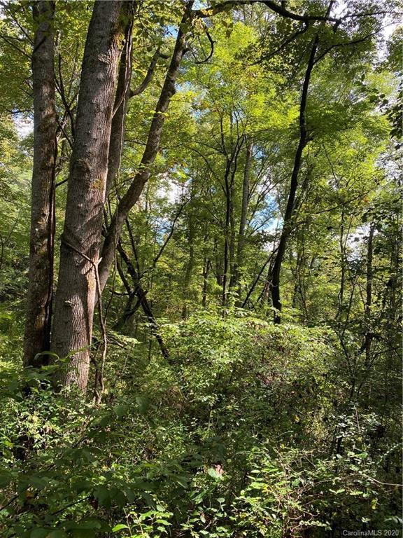 00 Old Rogers Ln., Webster, NC 28788