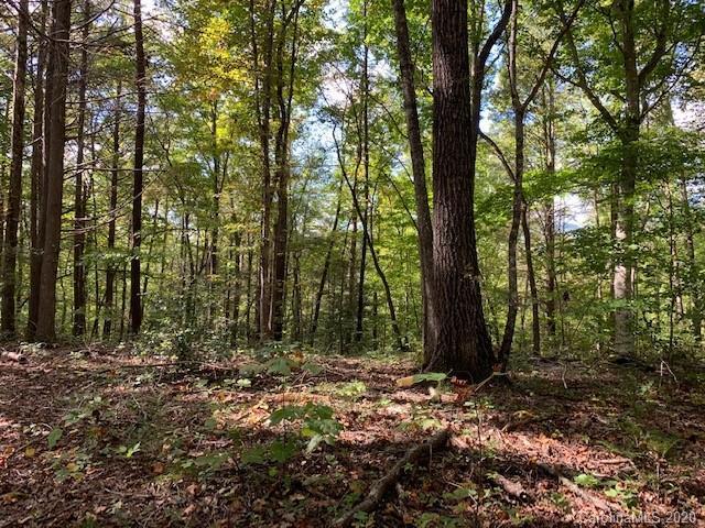 386 Melrose Rd., Lake Lure, NC 28746