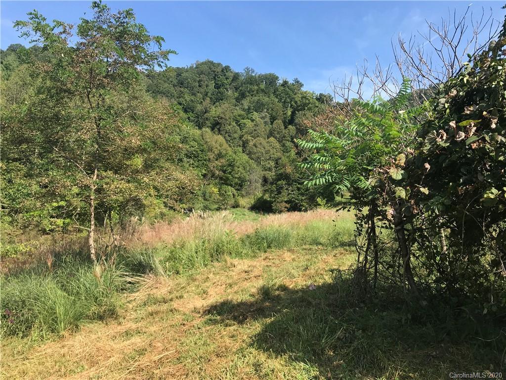 00 Clay Bradley Rd., Marshall, NC 28753