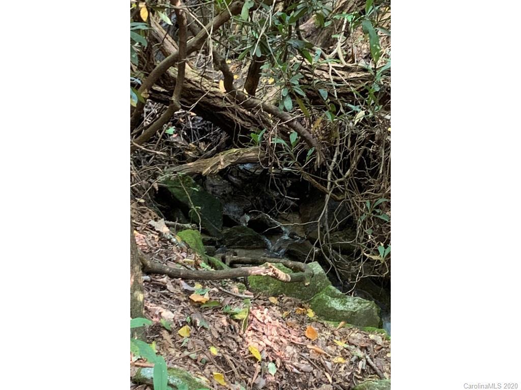 00 Hickory Acres Rd. #70 & 71, Edneyville, NC 28792