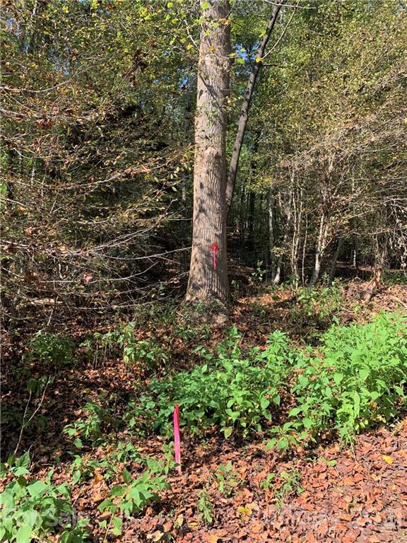 00000 Island Creek Rd., Lake Lure, NC 28746