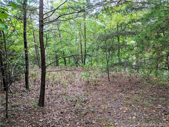 Buffalo Shoals Rd. #1, Lake Lure, NC 28746