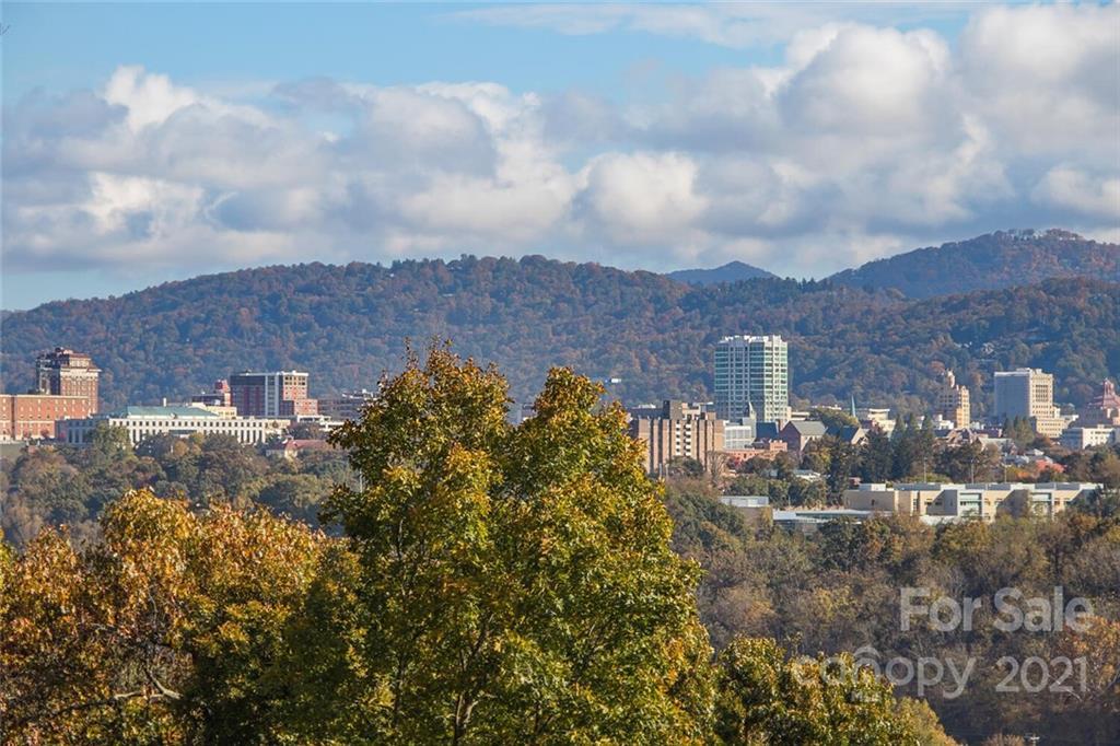 00000 Riverview Dr., Asheville, NC 28806