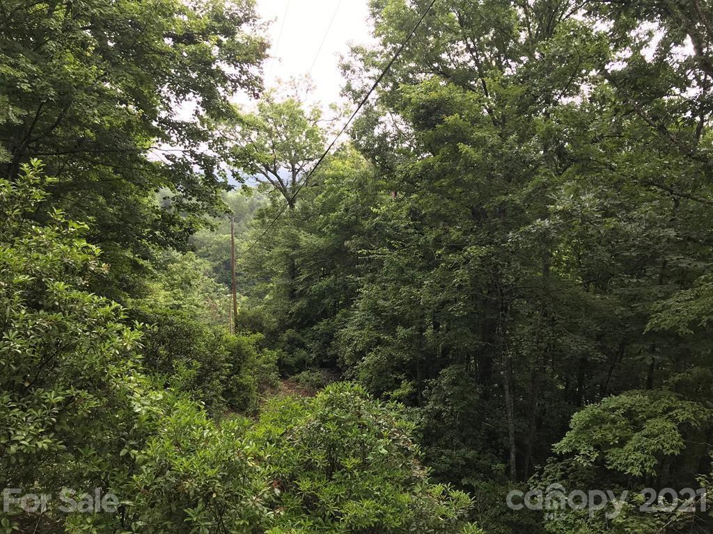 Whippoorwill Dr., Bryson City, NC 28713