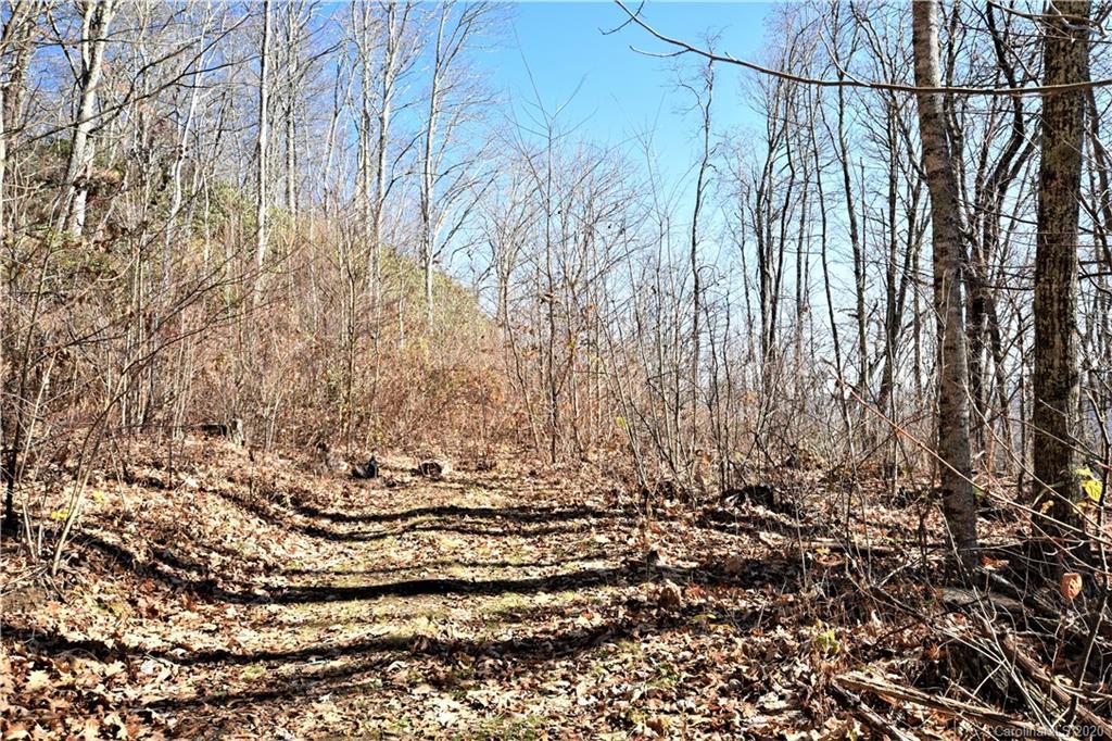 00 Buck Mountain Rd., Maggie Valley, NC 28751