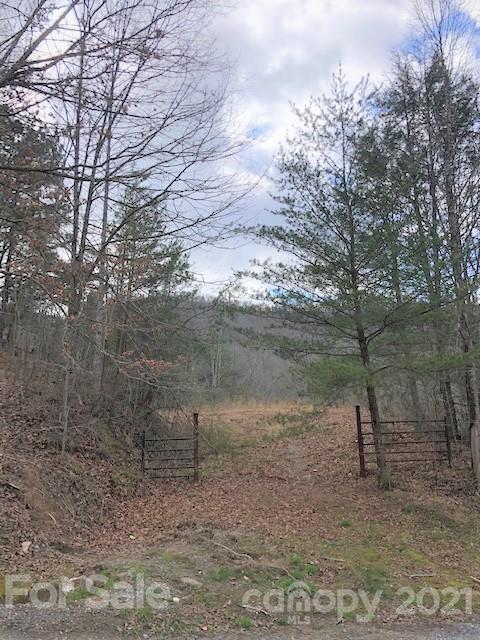 00 Pansy Pl., Waynesville, NC 28785