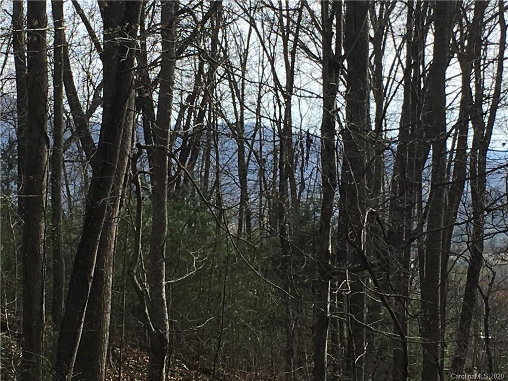 Lot 15 Village Coyote Hollow Rd. #15, Waynesville, NC 28785