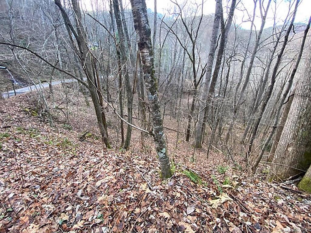 00 Pigpen Cove Rd., Waynesville, NC 28785