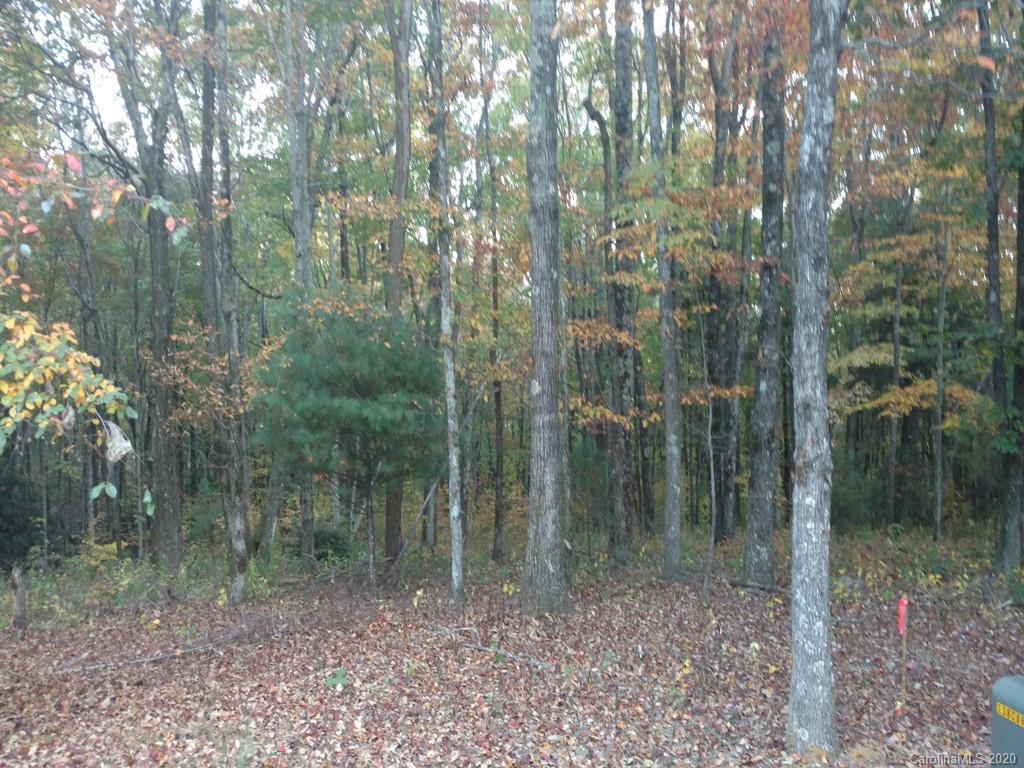 Thunder Mountain Rd. #131, Hendersonville, NC 28792