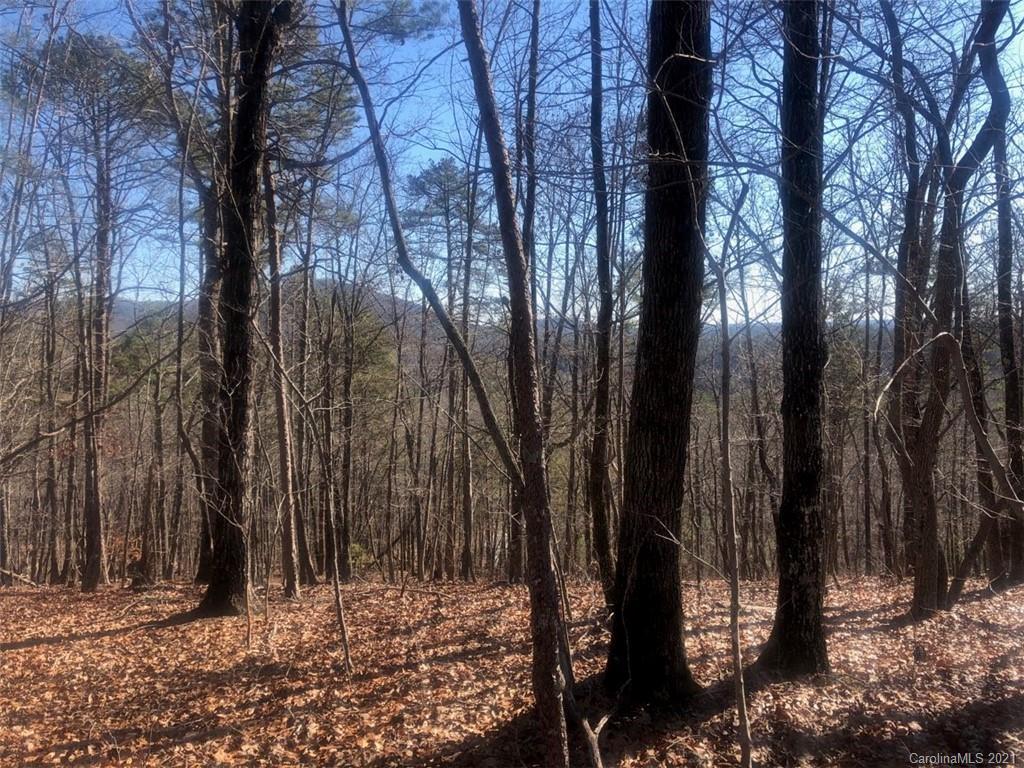 Boland Dr., Lake Lure, NC 28746