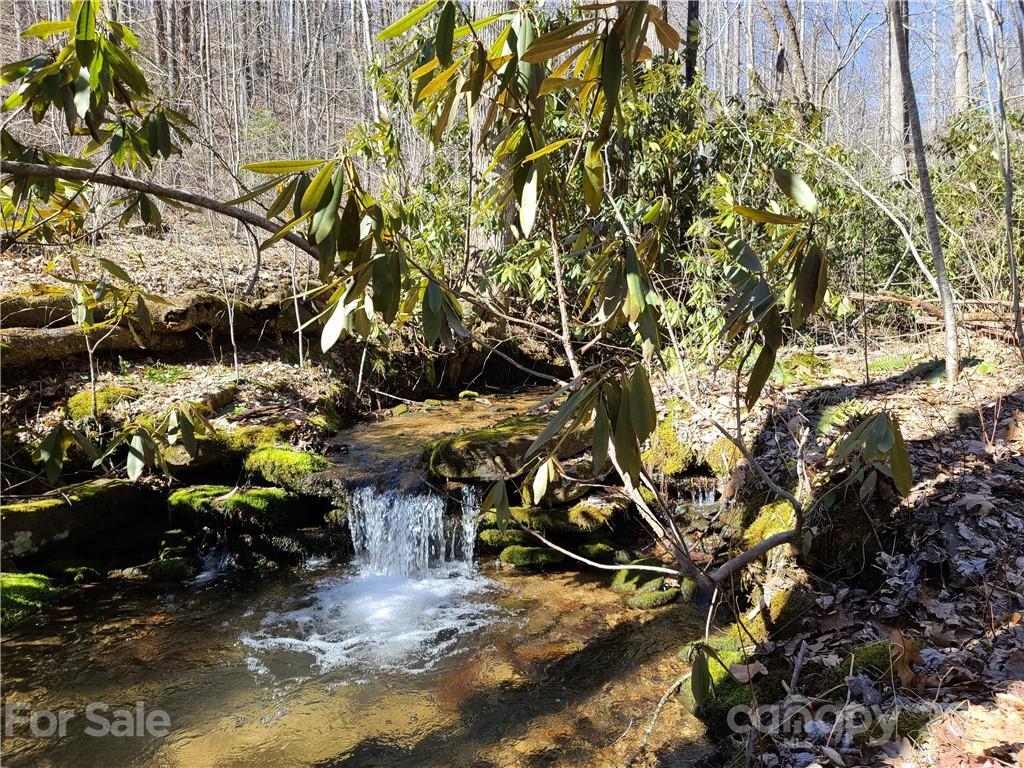 Lot 4 Mountain Cove Rd. #4, Hendersonville, NC 28711