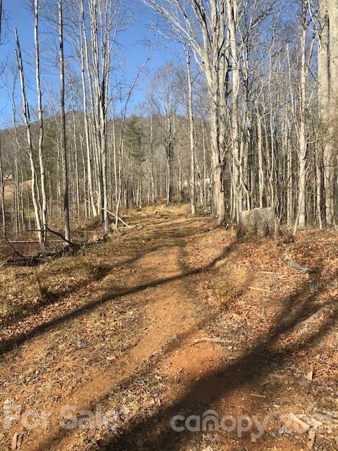 820 Green Mountain Dr., Burnsville, NC 28714