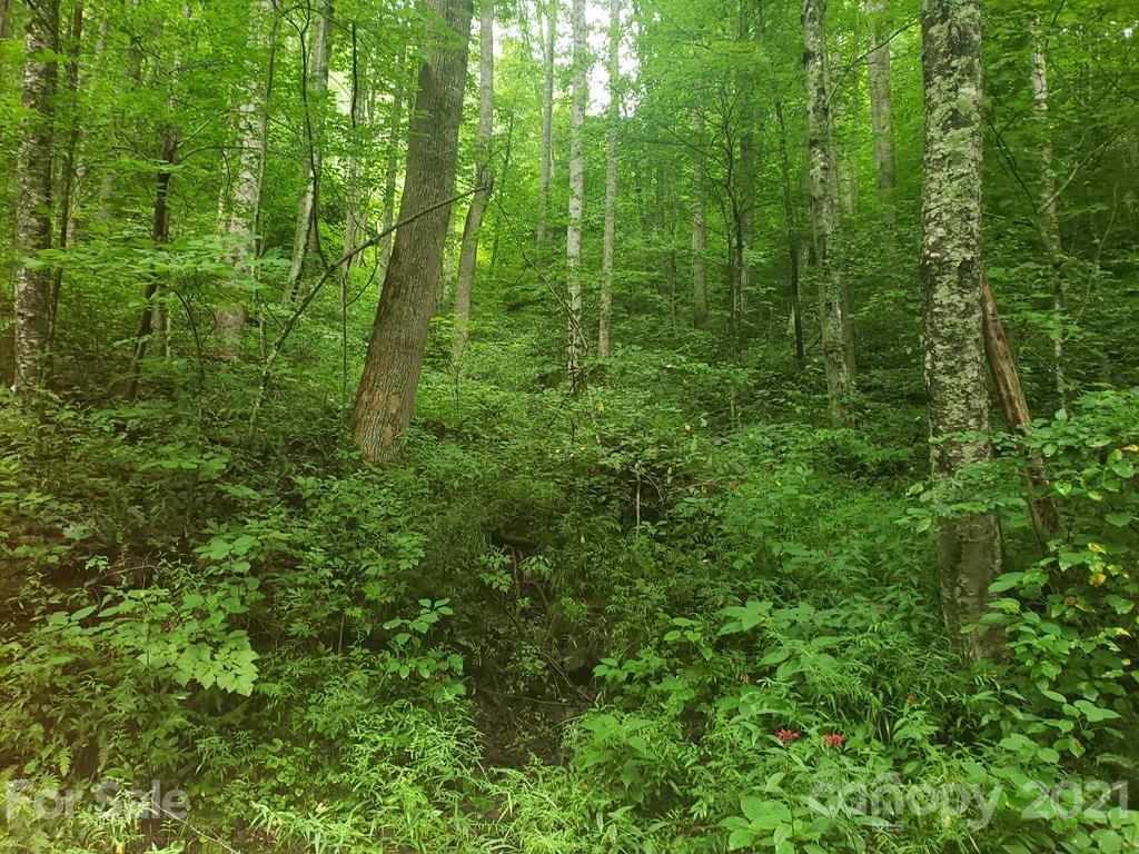 Orchard Ln., Sylva, NC 28779