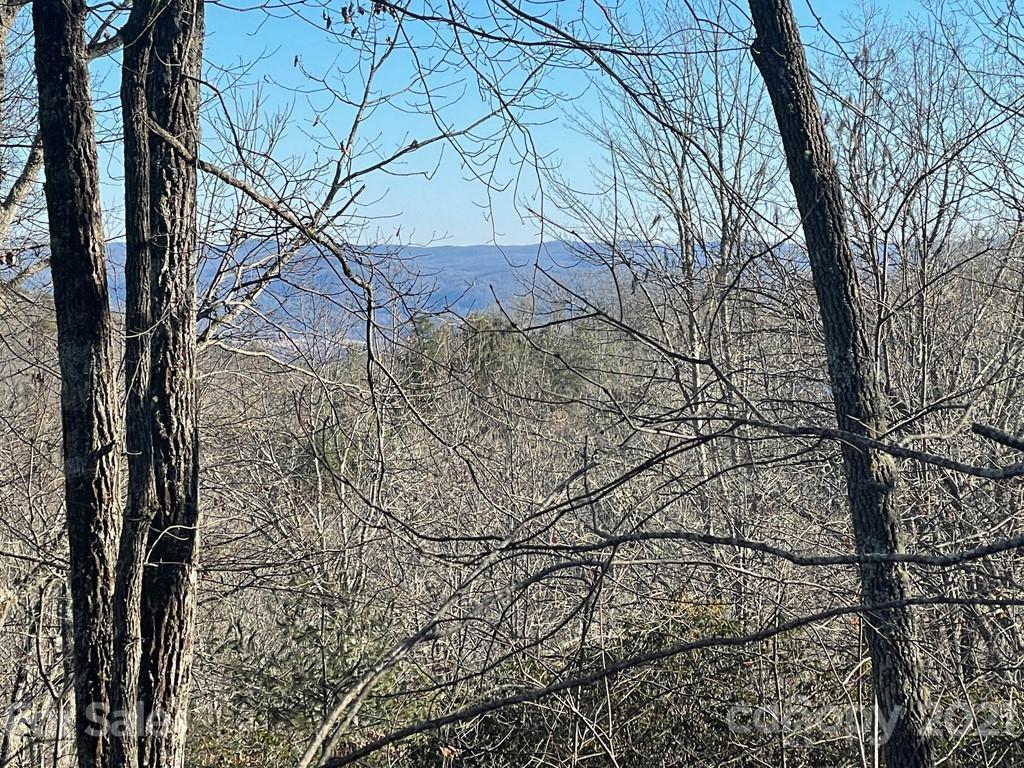 TBD Ivy Ln., Pisgah Forest, NC 28768
