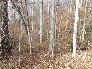 00 Heggie Ln., Waynesville, NC 28785