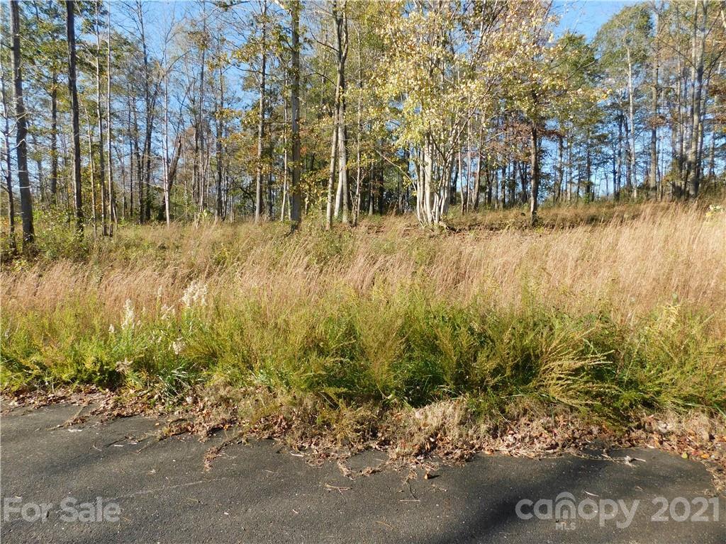 Lot #1 Pheasant Tr., Pilot Mountain, NC 27041