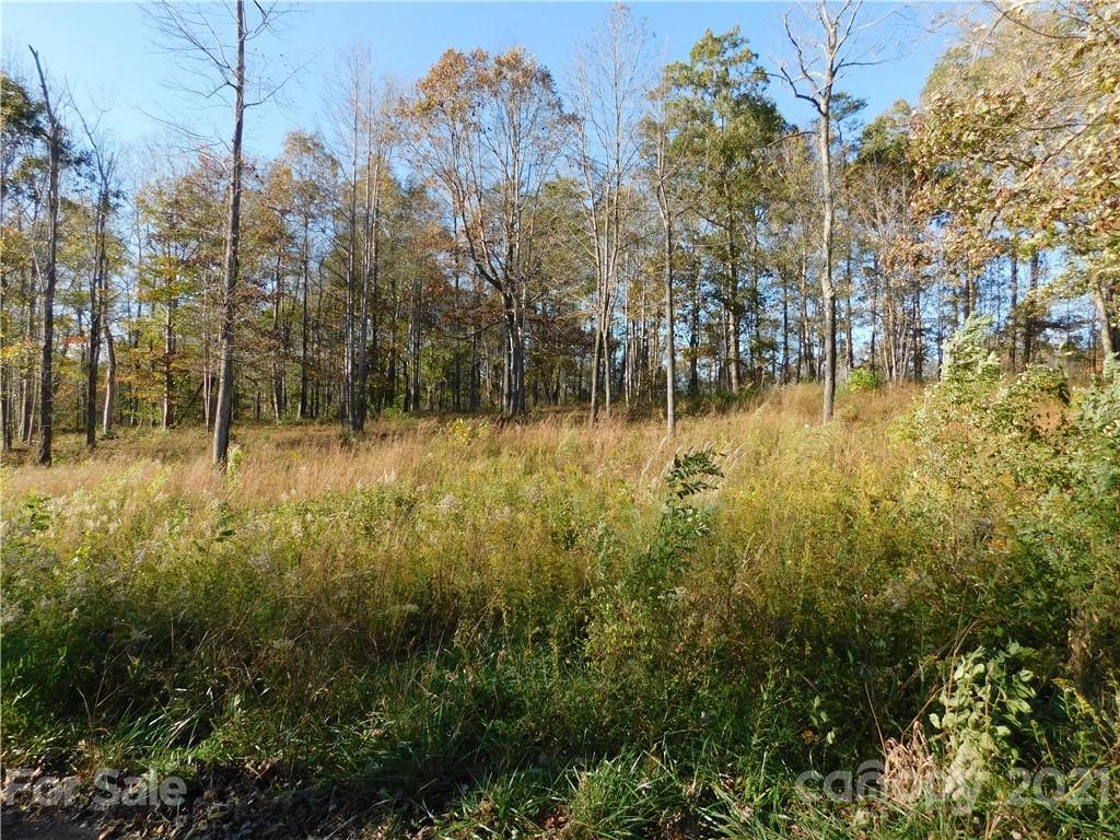 Lot #4 Pheasant Tr., Pilot Mountain, NC 27041