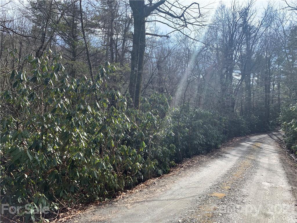 Mountain Park Ave., Jonas Ridge, NC 28657