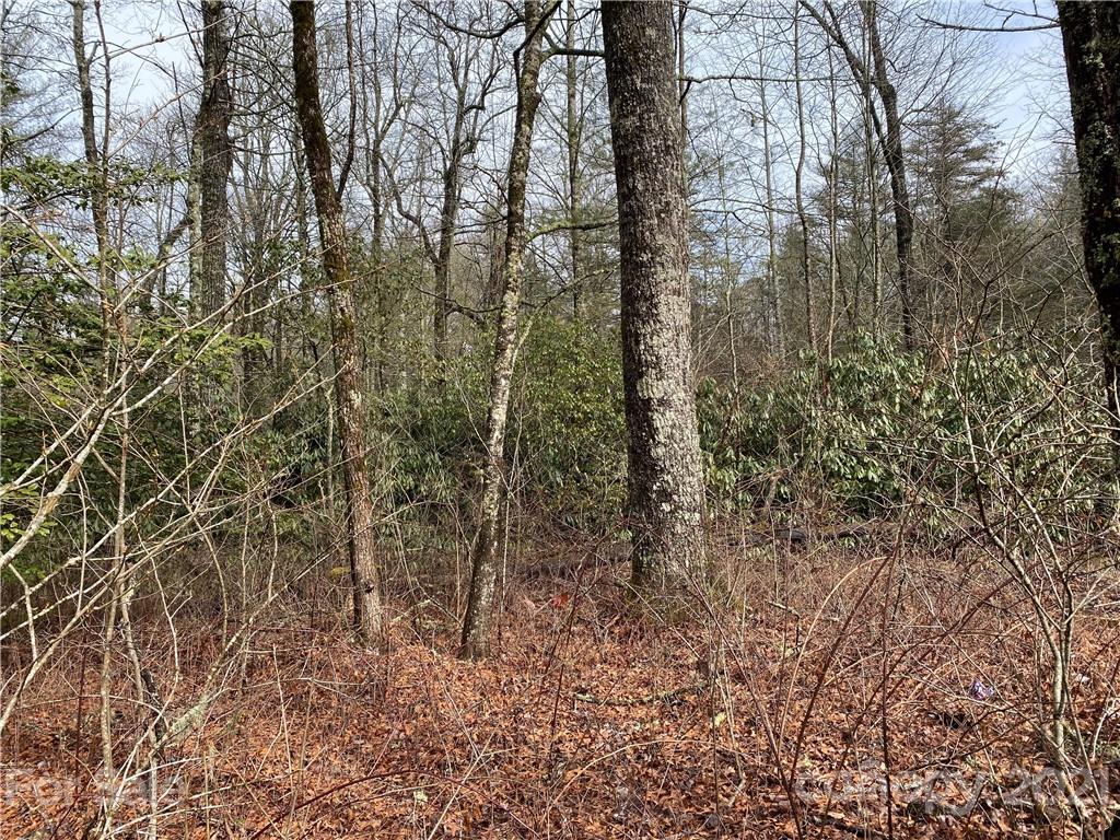 Azalea Rd. #L016, Sapphire, NC 28774