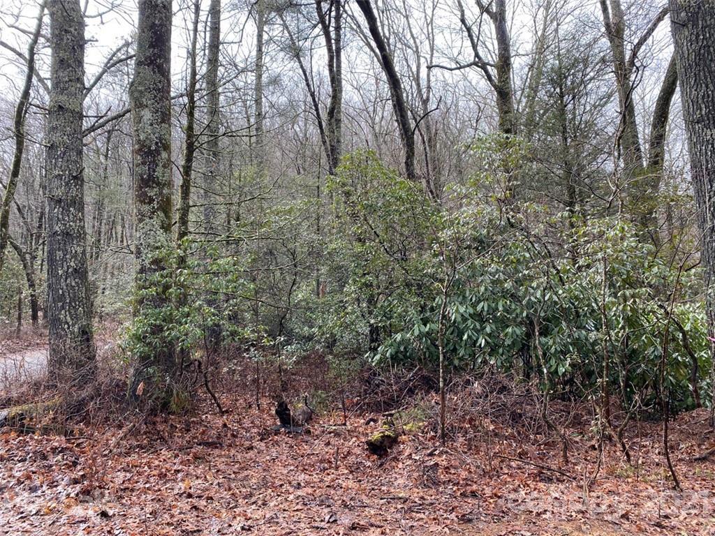 Bearwallow Ln. #L005, Sapphire, NC 28774