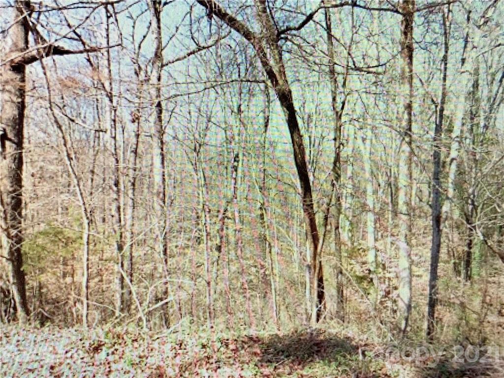 6234 Quiet Water Pl., Charlotte, NC 28214