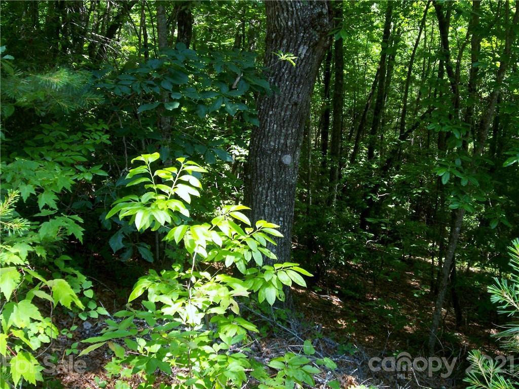 L20 Mountain High Dr., Lake Toxaway, NC 28747