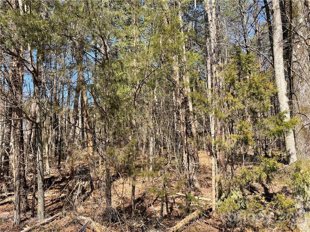 3505 Camp Julia Rd., Kannapolis, NC 28083