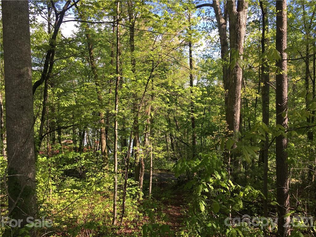0000 Windsong Ln., Lake Lure, NC 28746