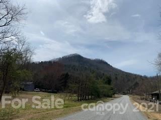 99999 Angelwood Ln. #SMALLER TRACTS AVAIL, Edneyville, NC 28792