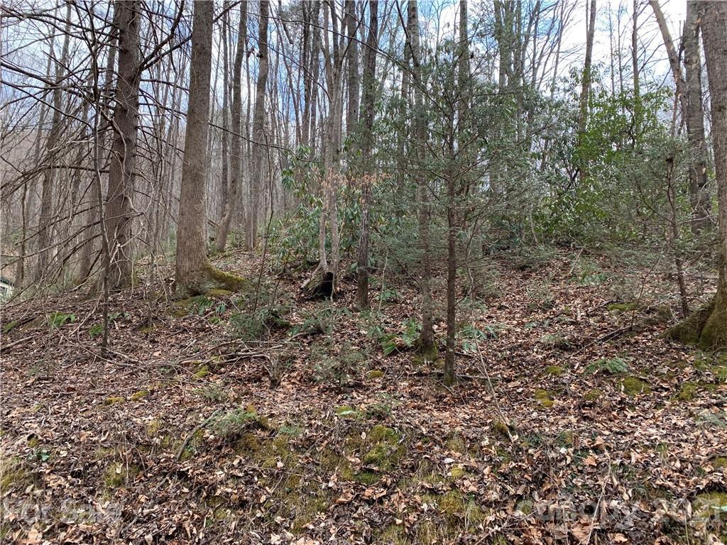 Little Rock Way, Lake Lure, NC 28746