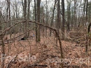 Off Mountain Rd., Mountain Home, NC 28791