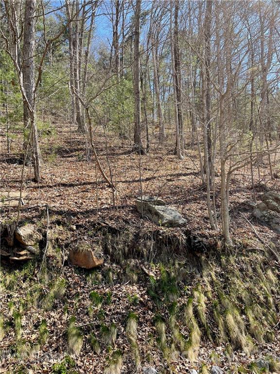 00000 Mostert Dr., Asheville, NC 28804