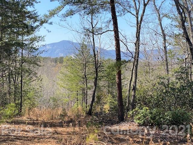 0000 Mcowenben Pass #23, Lake Lure, NC 28746