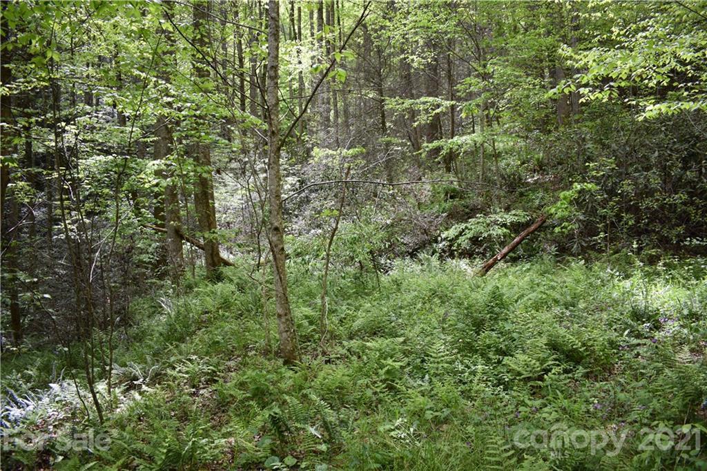 Land Off Shelton Laurel Rd., Clyde, NC 28721
