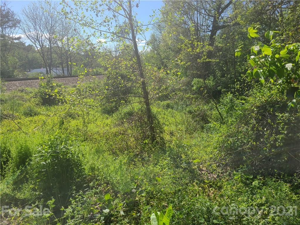 TBD Shannon Dr., Asheville, NC 28803