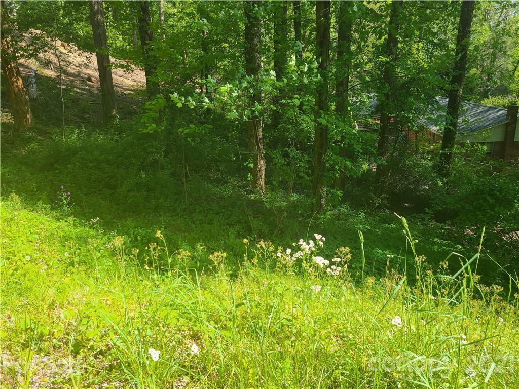 99999 Appian Way, Asheville, NC 28704