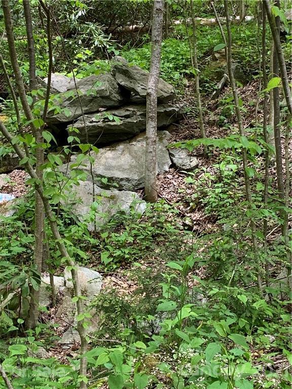 Pilot Ridge Rd., Blowing Rock, NC 28605