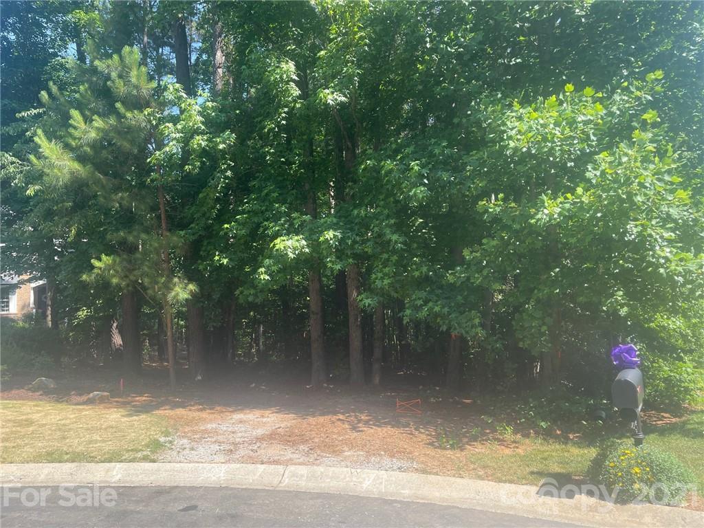 Lot 462 Ash Hollow Ln. #462, Denver, NC 28037