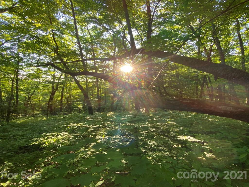 Lot 9 Highland Dr., Lake Toxaway, NC 28747