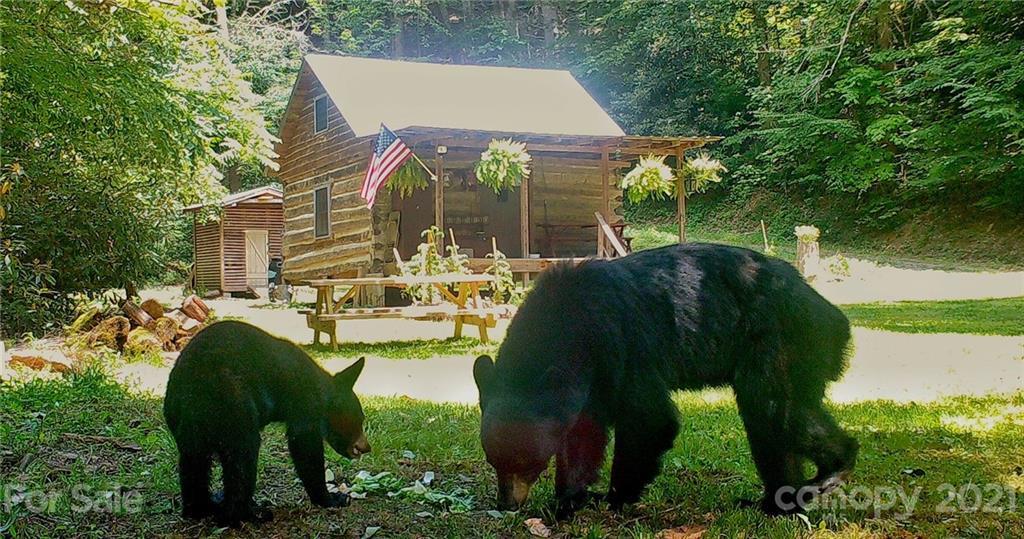 00 Wilkins Creek Rd., Clyde, NC 28721