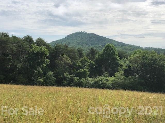 Piney Knob Rd., Rutherfordton, NC 28139