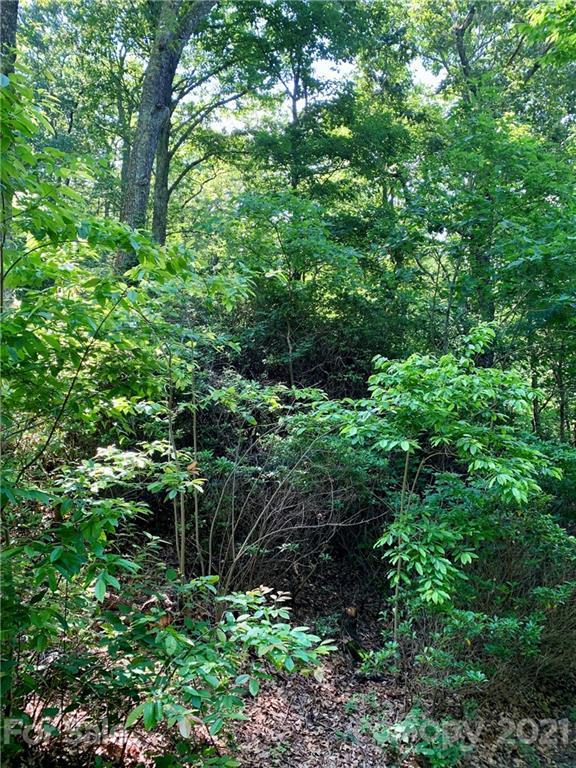 Lot 29 Hickory Acres Rd. #29, Edneyville, NC 28792