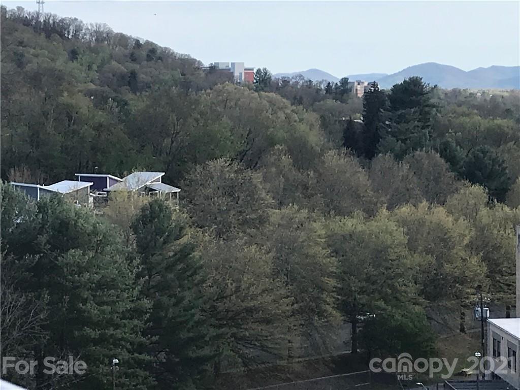 Circle St., Asheville, NC 28801