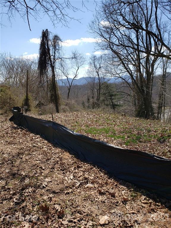 636 Deaverview Rd., Asheville, NC 28806
