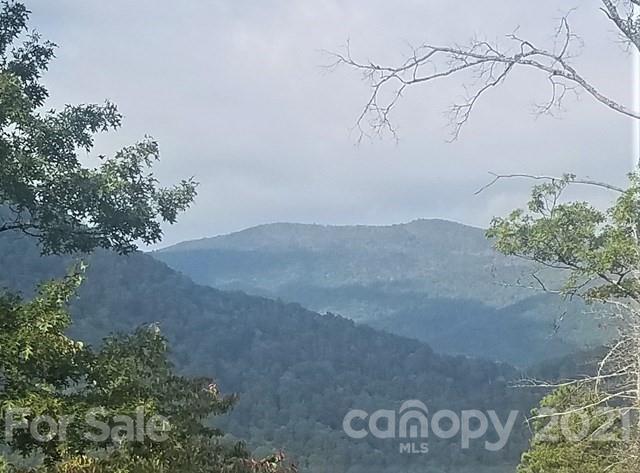 Conleys Creek Rd., Bryson City, NC 28789