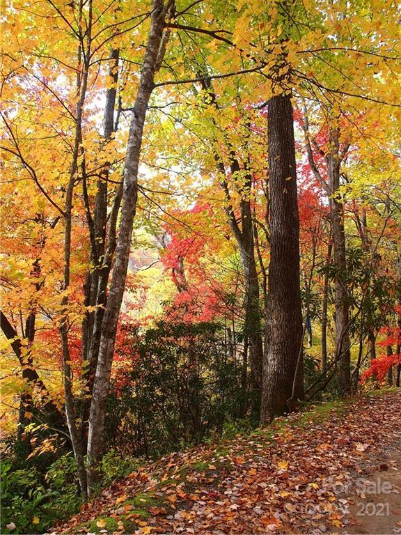 0000 Wild Turkey Run Rd., Waynesville, NC 28785