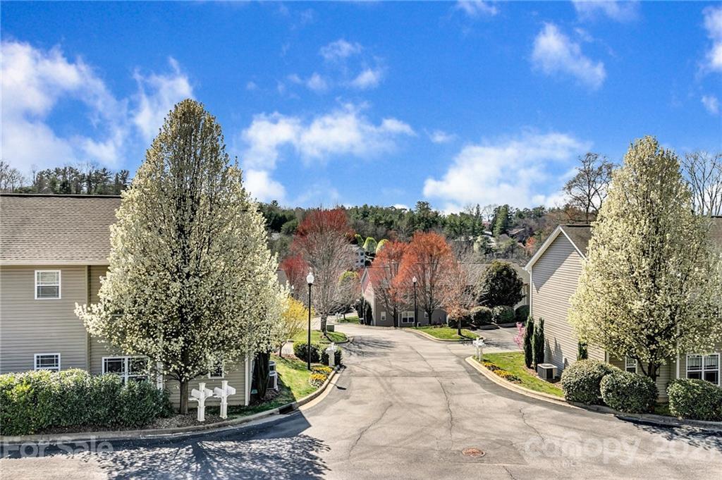 11 Northbrook Pl. #11-D, Asheville, NC 28804